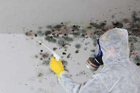 Best Mold Remediation for Healthcare Facilities  in Frazier Park, CA